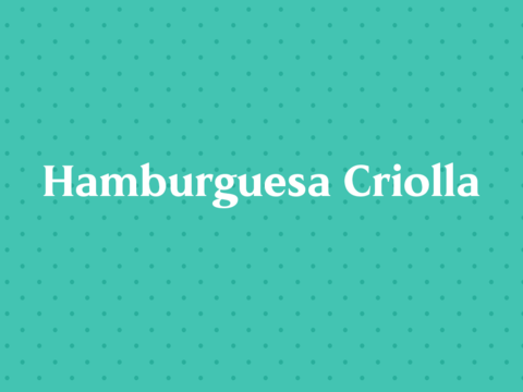 Hamburguesa Criolla